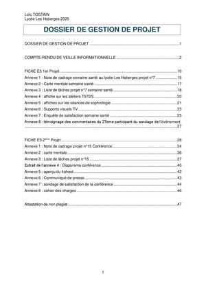 Tostain Loic Dossier Complet Gestion De Projet
