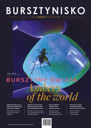 Bursztynisko. The Amber Magazine No 49
