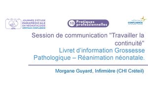 Présentation - Morgane Guyard - JEPN 2025