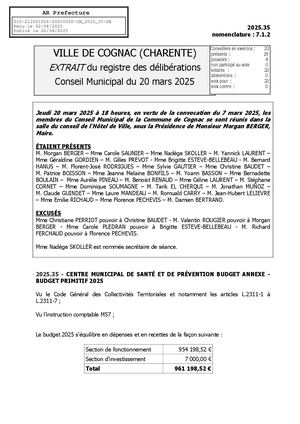 Centre Municipal De Santé Et De Prévention Budget Annexe Budget Primitif 2025