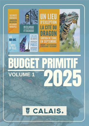 Budget Primitif 2025 - VOLUME 1
