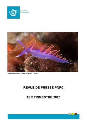 RP PNPC 1ER TRIMESTRE 2025