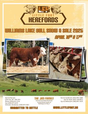 Little Fort Herefords 2025 Bull Offering