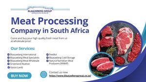 Blaauwberg Group - Presentation (April 2025)