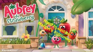 Wip Pitch Bible V01 Test