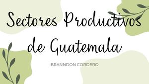 Sectores Productivos De Guatemala