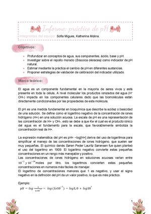 Informe PH