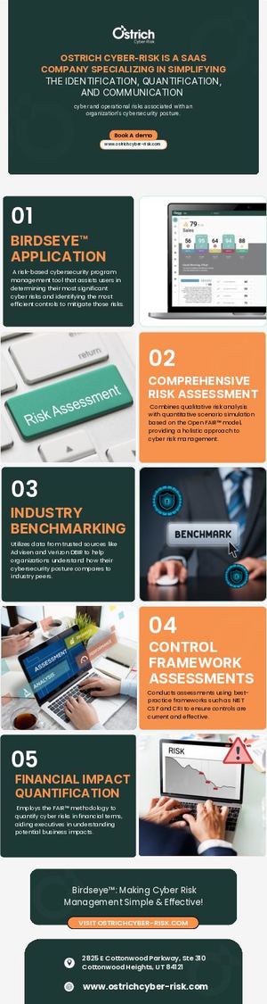 Key Features of Ostrich Cyber-Risk