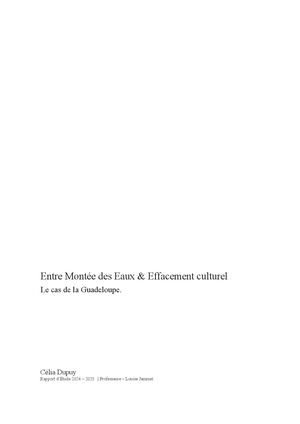 Mémoire Dupuy Célia L3aa Pdf