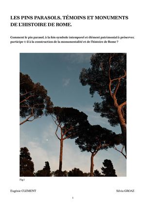 Mémoire Eugenie Clement L3