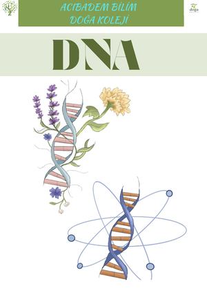 Dna Dergi 2025