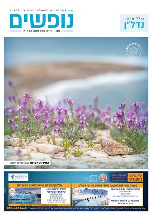 נופים&נופשים גיליון מס׳ 416 | י״ג׳ ניסן ה׳תשפ״ה | פרשת צו | 11.4.25