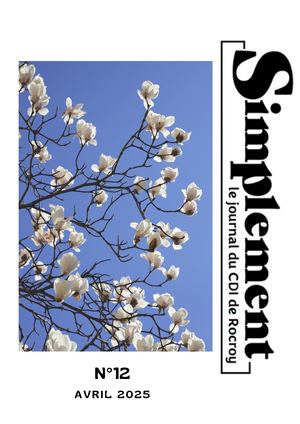 SIMPLEMENT N°12 AVRIL 2025