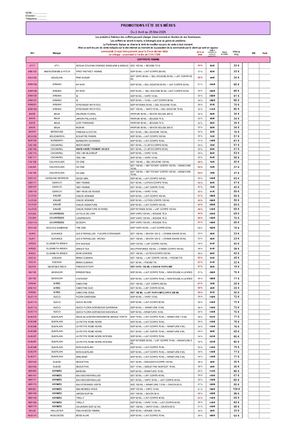 2025 Promo Fetesdesmeres