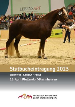 Stutbucheintragung Pfullendorf 2025