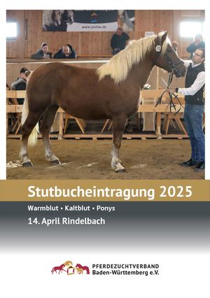 Stutbucheintragung Rindelbach 2025
