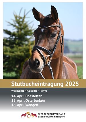 Stutbucheintragung Ehestetten-Osterburken-Wangen 2025