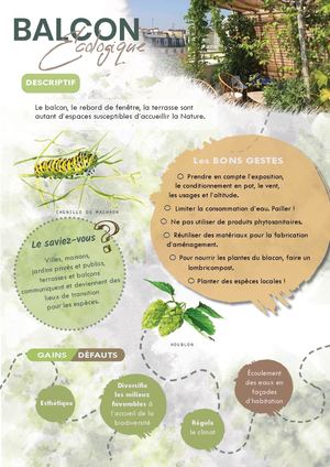 Fiche balcon écologique