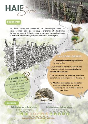 Fiche haie sèche