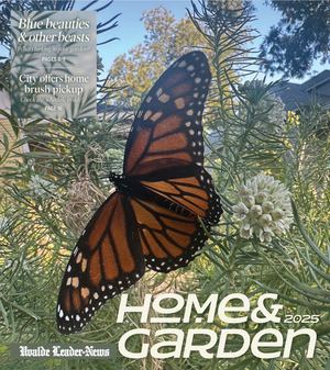 Home And Garden 2025