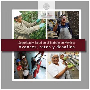 Libro Seguridad Y Salud En El Trabajo En México Avances, Retos Y Desafios (Digital)