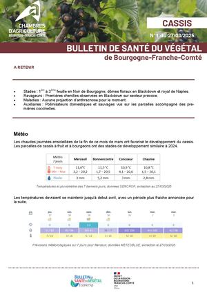 Bsv Cassis N 1 Du 27 03 2025