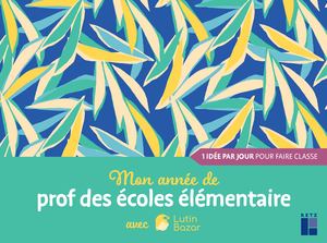 Extraits Mon année de prof des écoles élémentaire