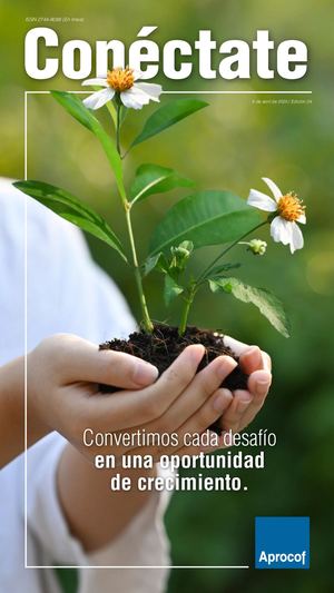 Conectate Edicion 24