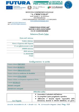 Relazione Finale Tutor Copia