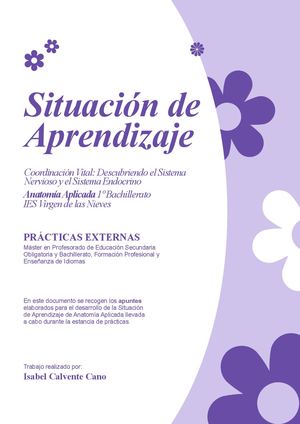 Apuntes SdA Prácticas MAES UGR 24/25 - AAPL 1BACH