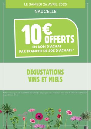 Animation Naucelle 2025