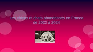 Chiens et chats abandonnés en France de 2020 à 2024