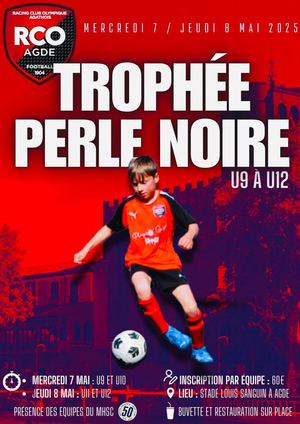 Dossier Technique Perle Noire 2025