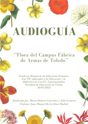 Audioguía Para Calameo