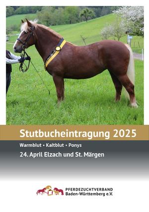 Stutbucheintragung Elzach-St Märgen2025