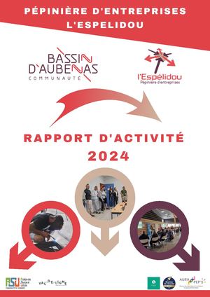 Rapport D'activité 2024 Def
