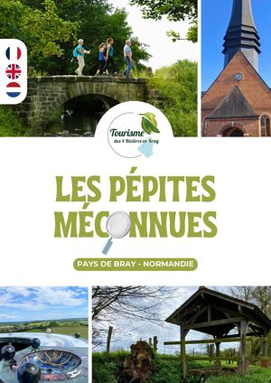 Les Pépites Méconnues 2025