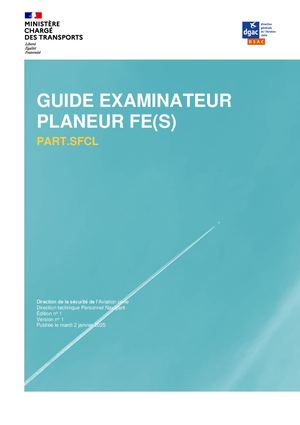 Guide Fe(s) Format Dsac Projet V01 Corr Accept