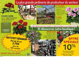 2025-04-16-Fleurs Burn