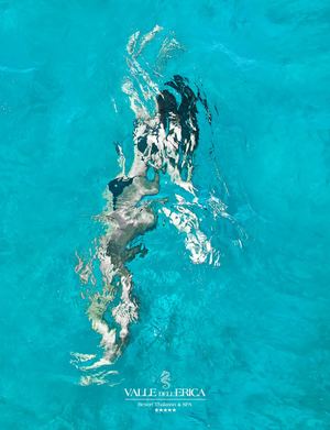 Resort Valle dell'Erica Thalasso & SPA - 5 stelle in Sardegna