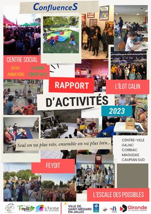 Rapport D'activité ConfluenceS