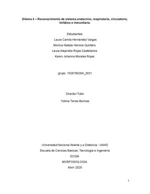 Trabajo Grupal Morfo3