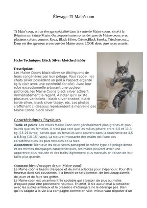 Fiche Technique Sur Les Maine Coons