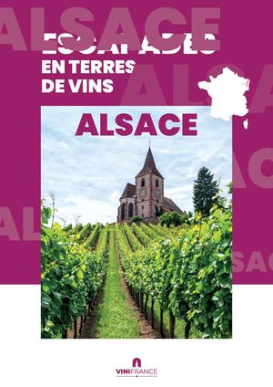 Alsace Vinifrance Oenotourisme 2025