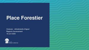 2025 04 16 Seance Information Place Forestier Vf