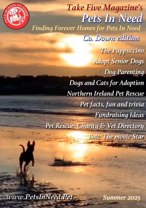 Pets In Need Co Down Spring 2025