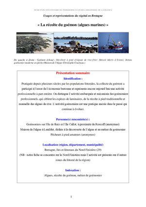 Fi La Récolte Du Goémon