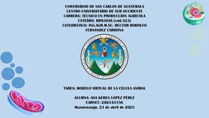 Modelo Celula Animal