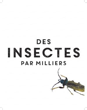 Des Insectes Par Milliers - Extrait