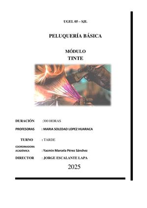 Programaciòn De Tinte 2025